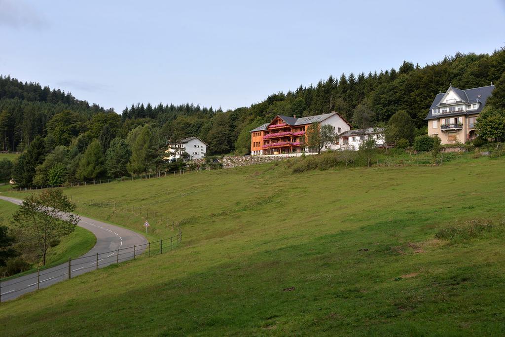 Les Gites D'Adelspach Gites & Spa En Alsace Aubure Zewnętrze zdjęcie